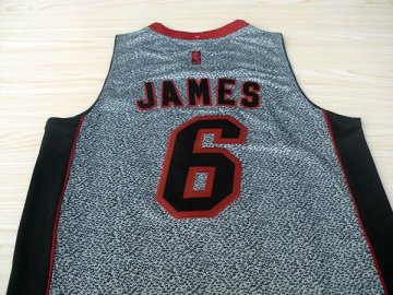 Camiseta James #23 Cavaliers 2013 Moda Estatica Gris